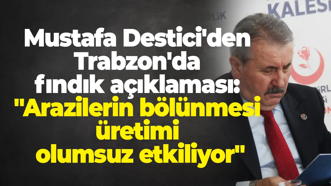 Mustafa Destici'den Trabzon'da fındık açıklaması: "Arazilerin bölünmesi üretimi olumsuz etkiliyor"