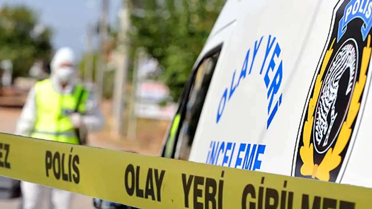 Geri manevra yapan kamyonet can aldı: Yaşlı adamdan acı haber