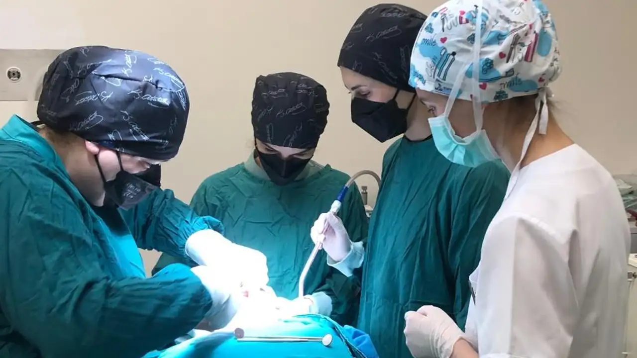 Ordu Üniversitesi’nde özel bireylere tek seansta diş tedavisi