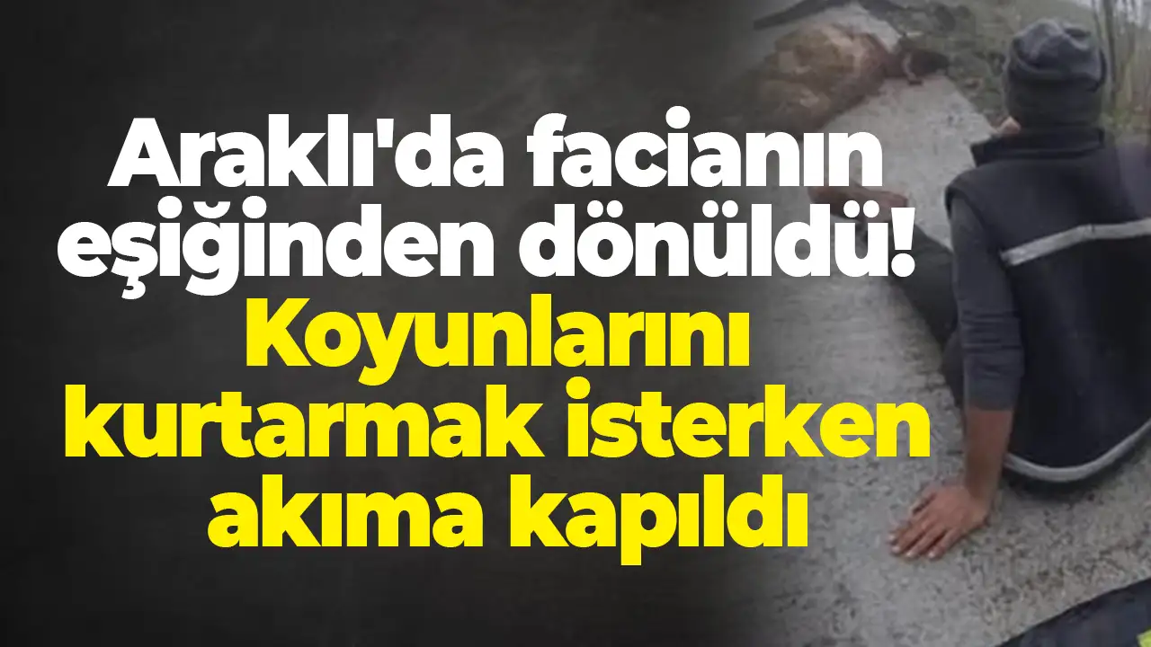 Araklı'da facianın eşiğinden dönüldü:  Koyunlarını kurtarmak isterken akıma kapıldı