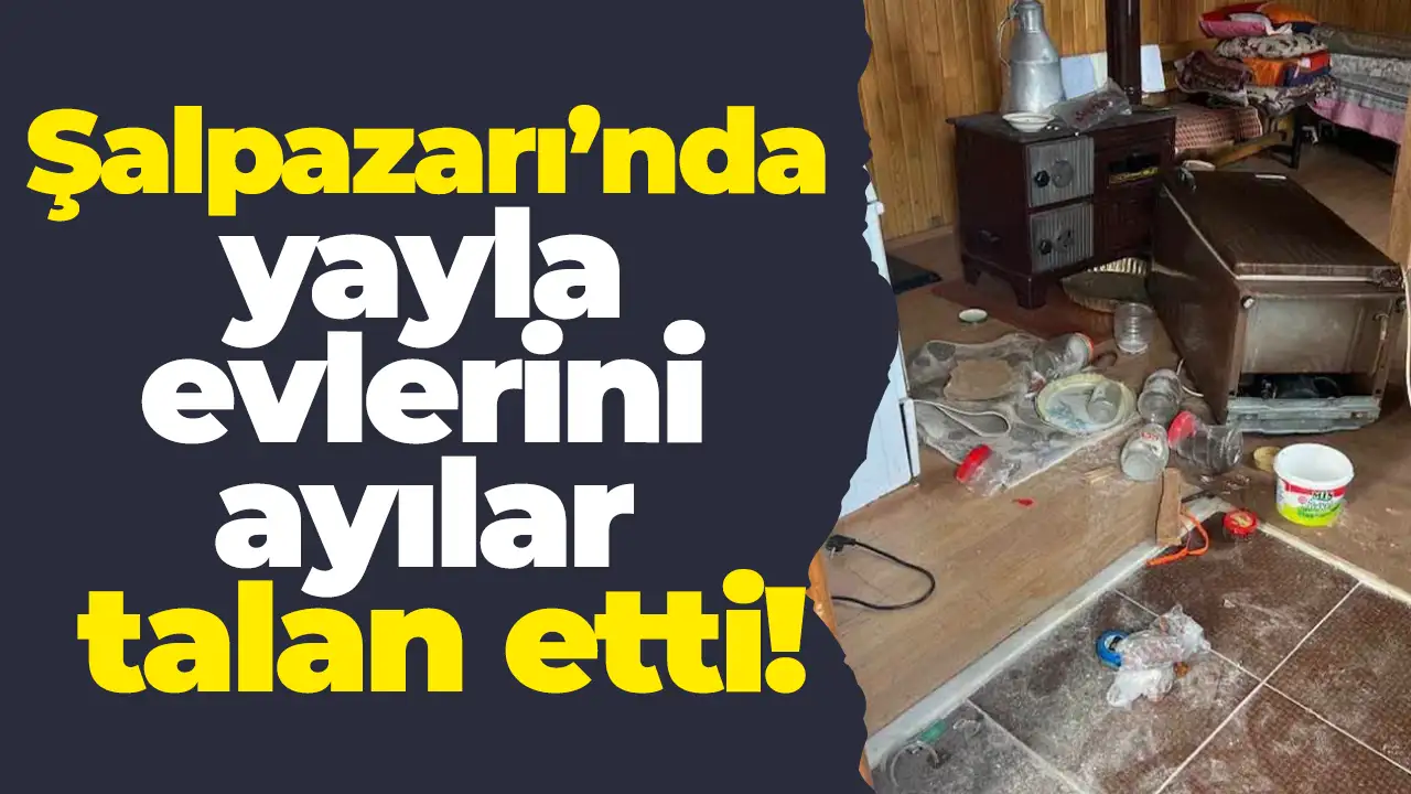Şalpazarı’nda yayla evlerini ayılar talan etti