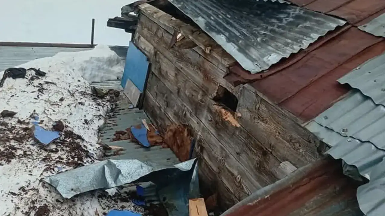 Gümüşhane’de ayı yayla evine girdi! ortalığı savaş alanına çevirdi
