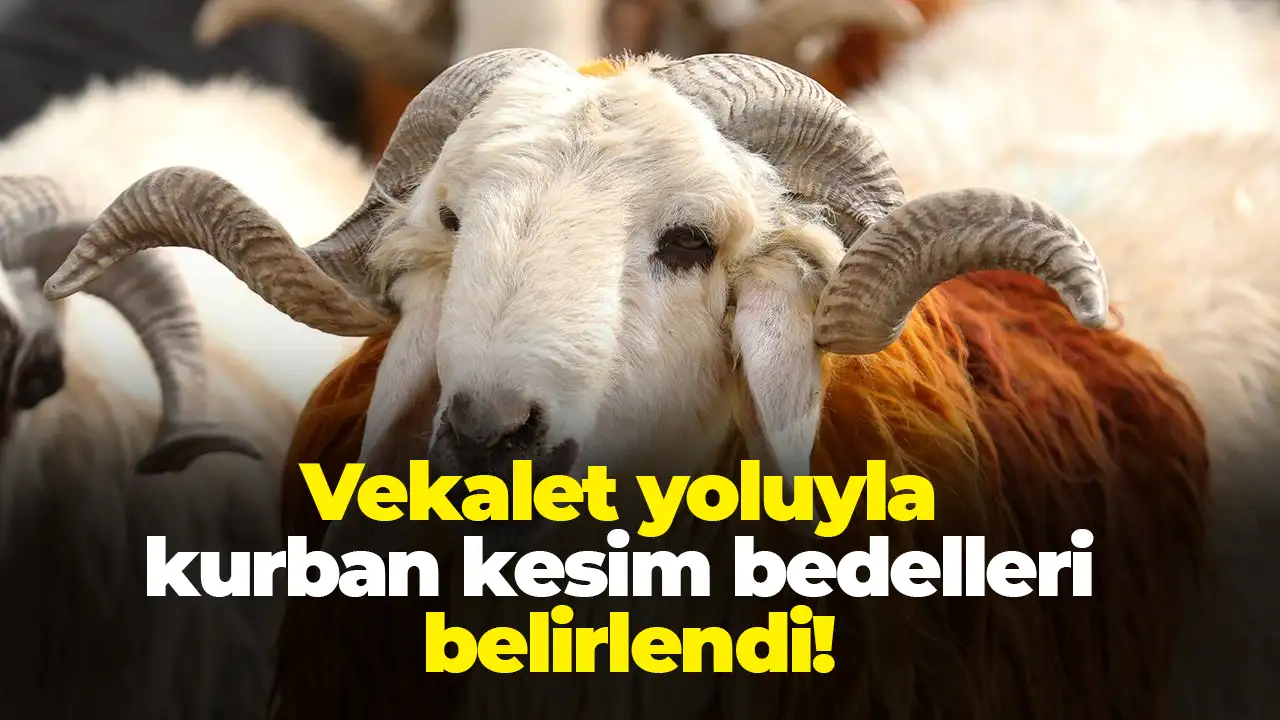 Vekalet yoluyla kurban kesim bedelleri belirlendi
