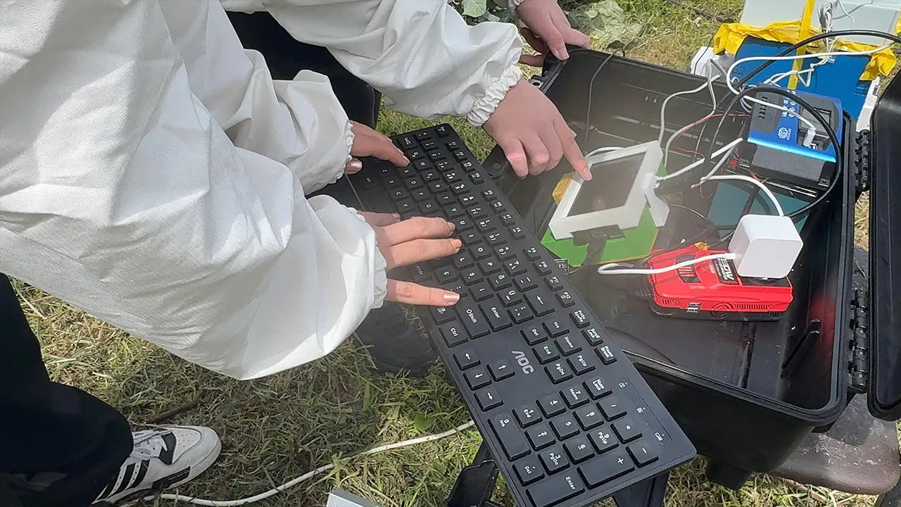 Giresun’da geliştirilen yazılım arı kovanlarını uzaktan takip ediyor