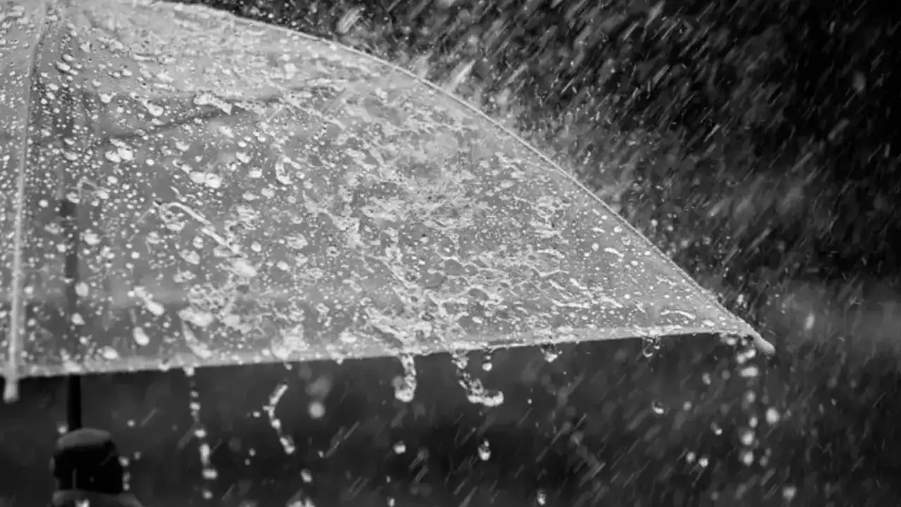 Doğu Karadeniz’e kuvvetli yağış uyarısı! Trabzon dahil 5 il için alarm