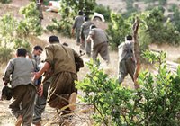 Hain plan yapan teröristin sonu!