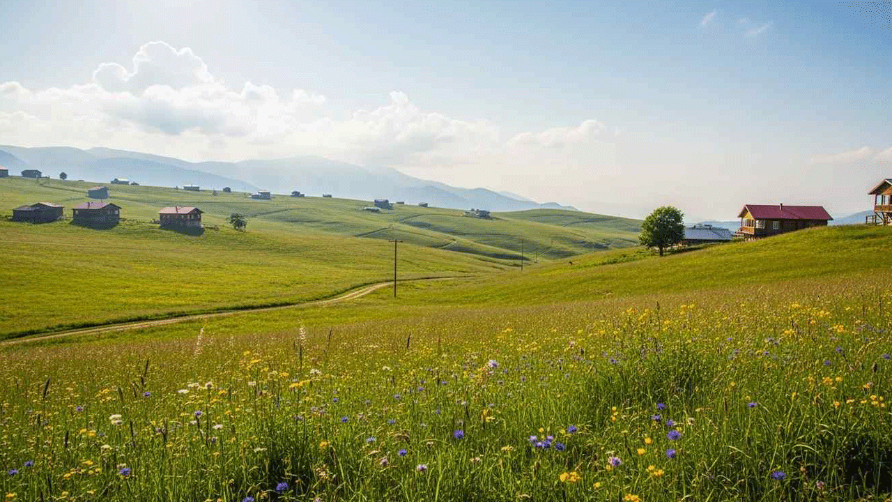 Trabzonlu öğrenciden dijital doğa hamlesi: Yayla bitkilerini sanal müzeye taşıdı