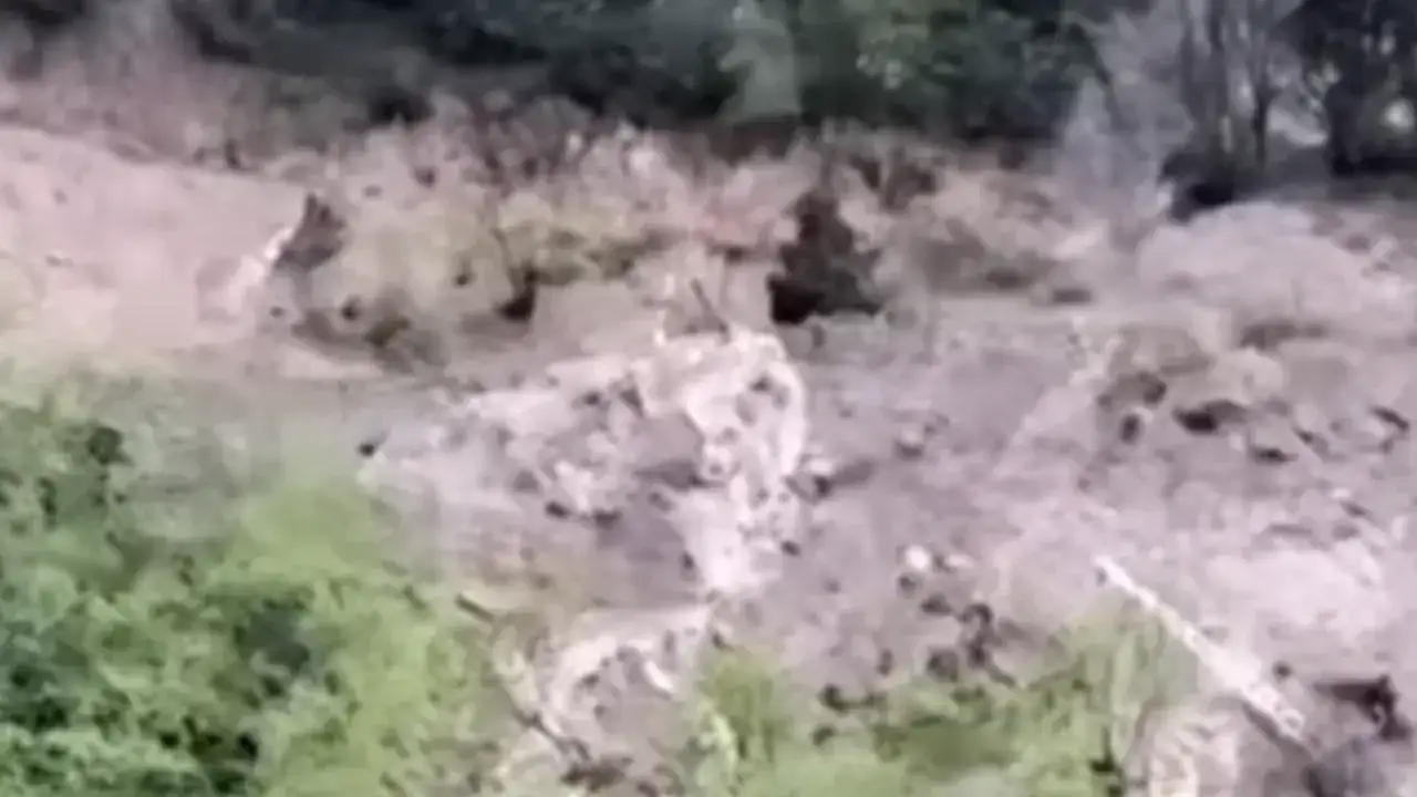 Araklı'da heyelan sürüyor! 2 noktada zemin tamamen çöktü