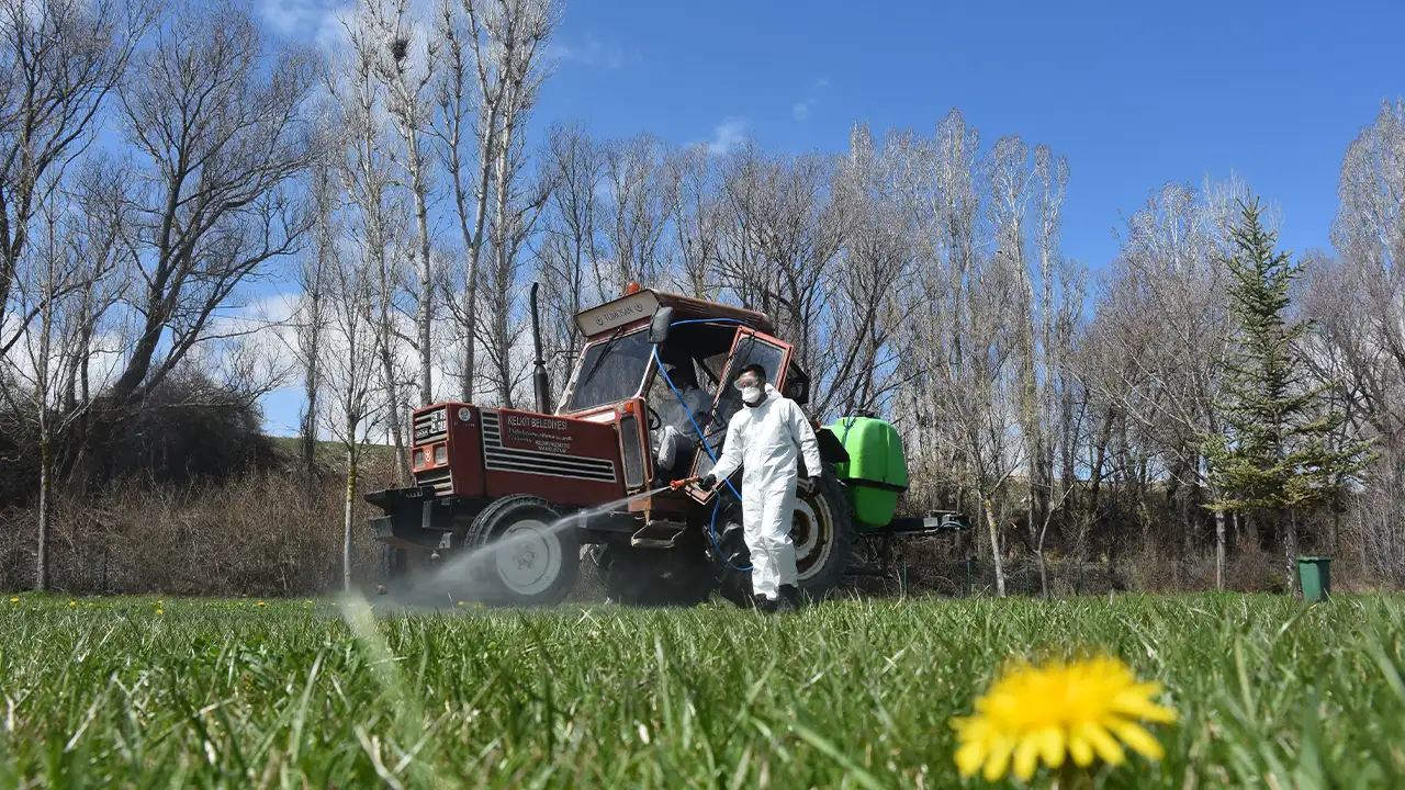 Gümüşhane'de kene alarmı: Mücadele başladı