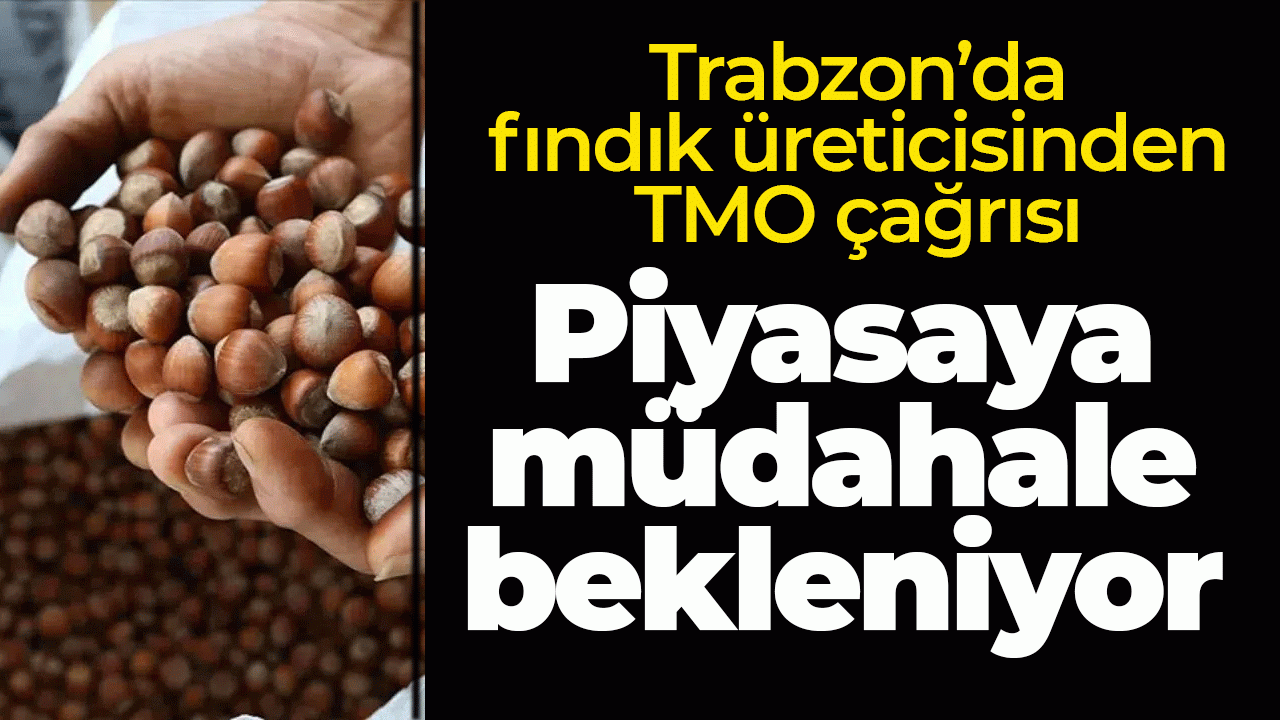 Trabzon’da fındık üreticisinden TMO çağrısı: Piyasaya müdahale bekleniyor