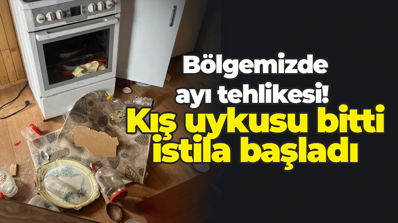 Doğu Karadeniz yaylalarında ayı tehlikesi!  Kış uykusu bitti, istila başladı