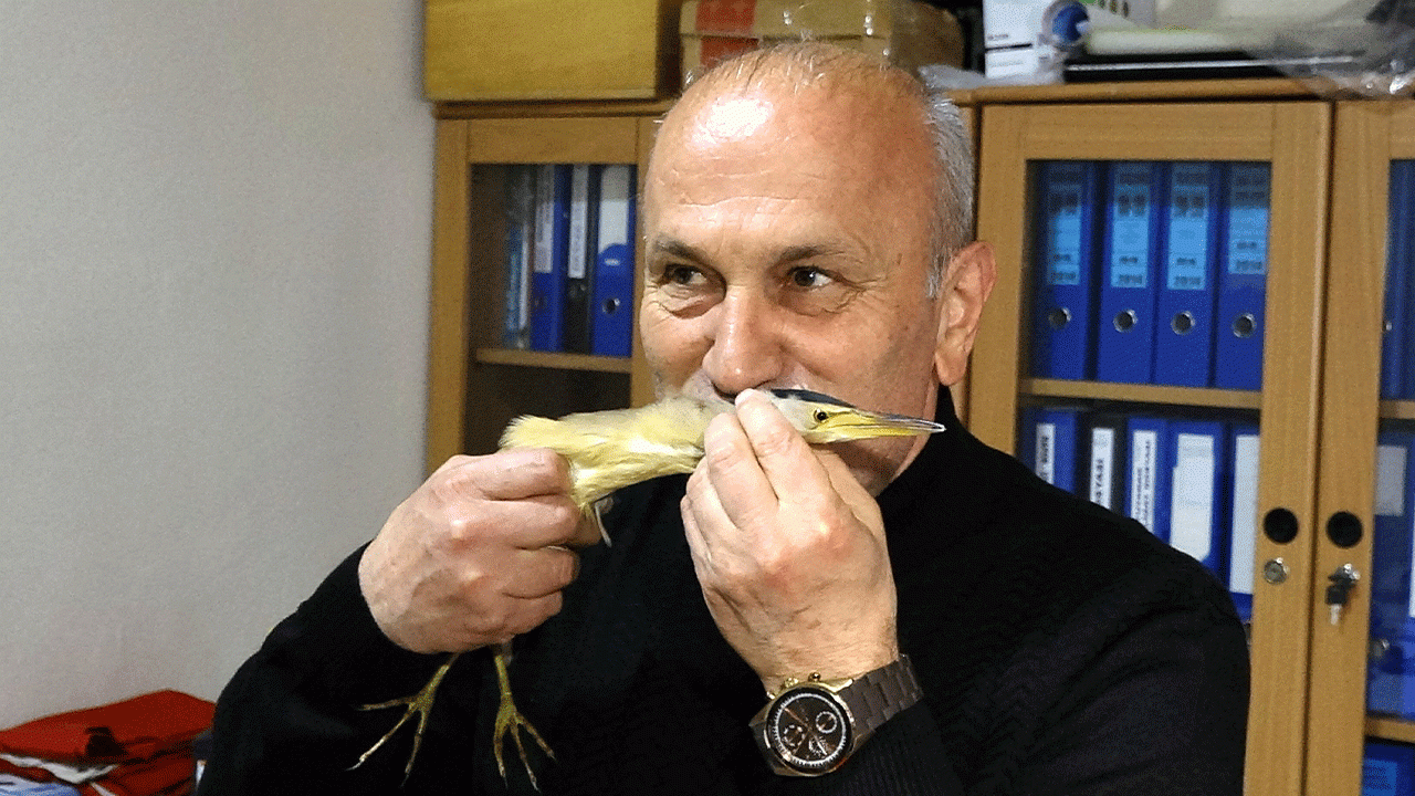 Trabzon’da öğrenciler nesli tükenmekte olan balaban kuşunu kurtardı