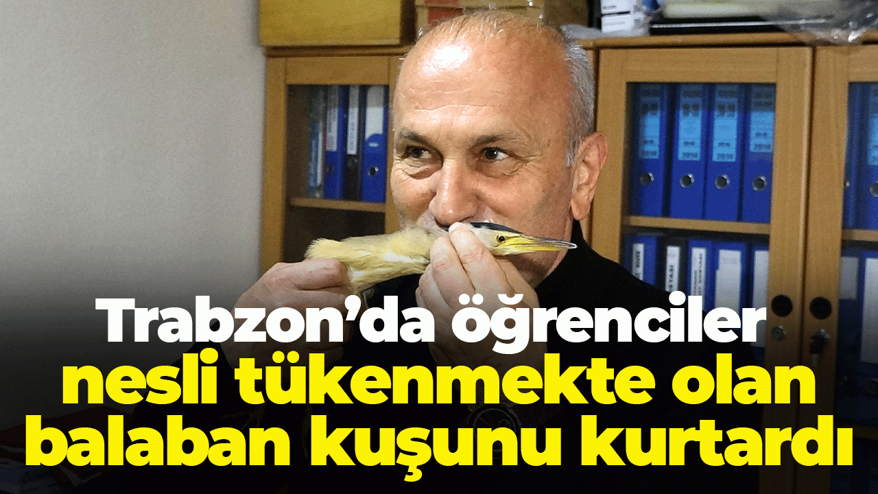Trabzon’da öğrenciler nesli tükenmekte olan balaban kuşunu kurtardı