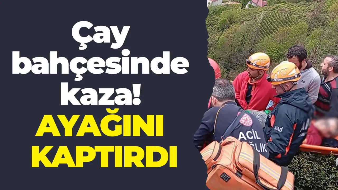 Rize’de çay bahçesinde kaza: Ayağını kaptırdı
