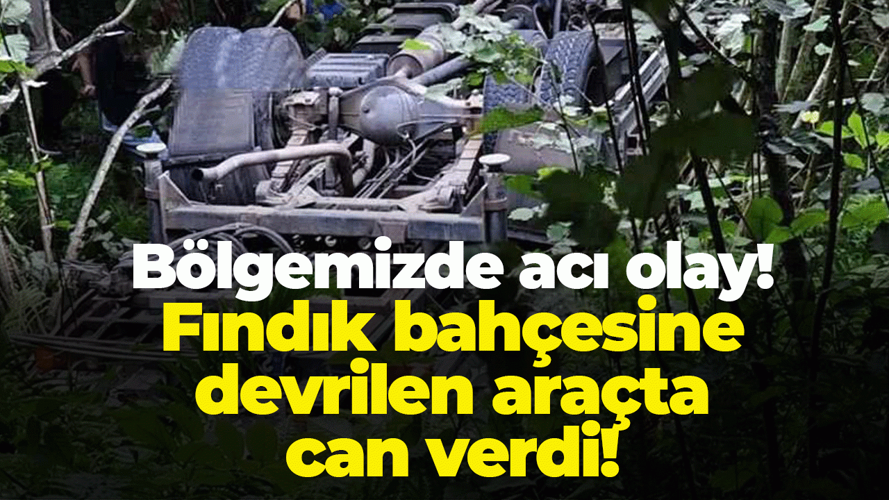 Bölgemizde acı olay! Fındık bahçesine devrilen araçta can verdi