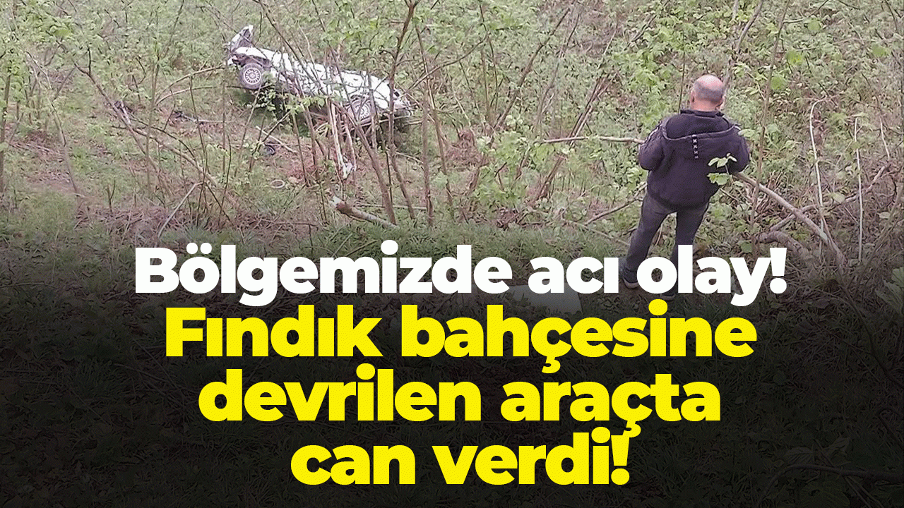 Bölgemizde acı olay! Fındık bahçesine devrilen araçta can verdi