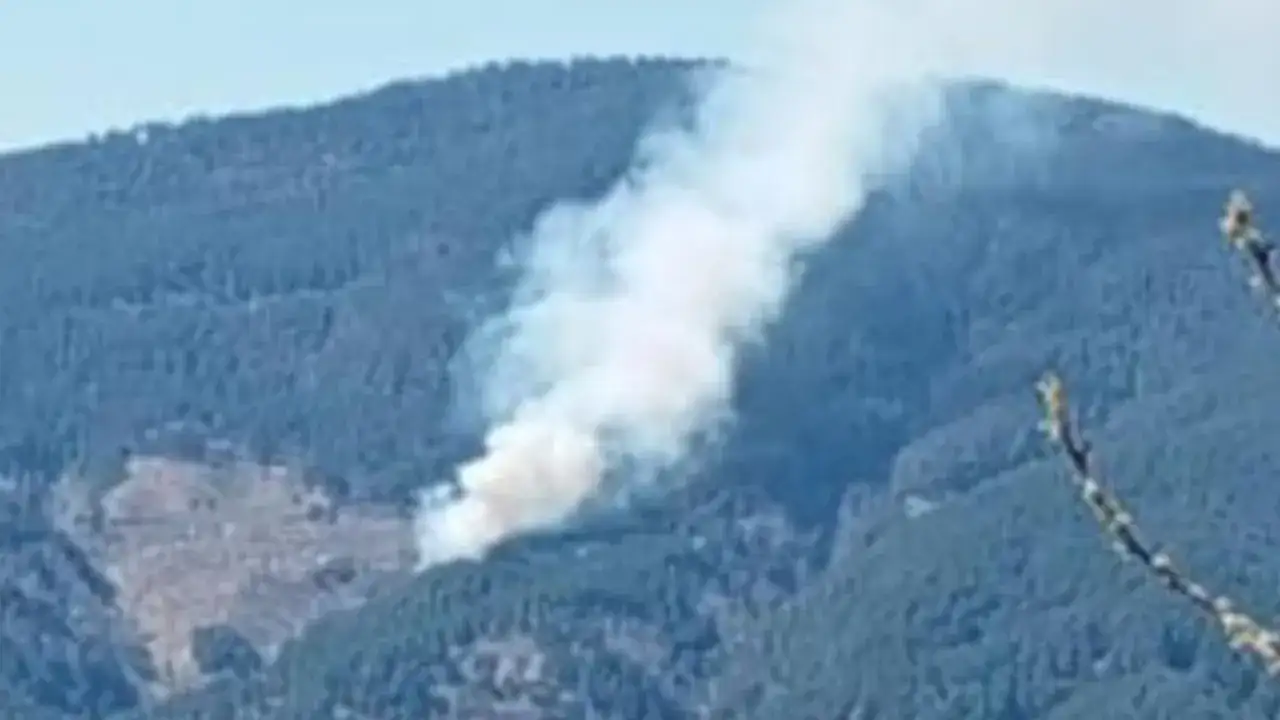 Orman yangını! Ekiplerin müdahalesi sürüyor