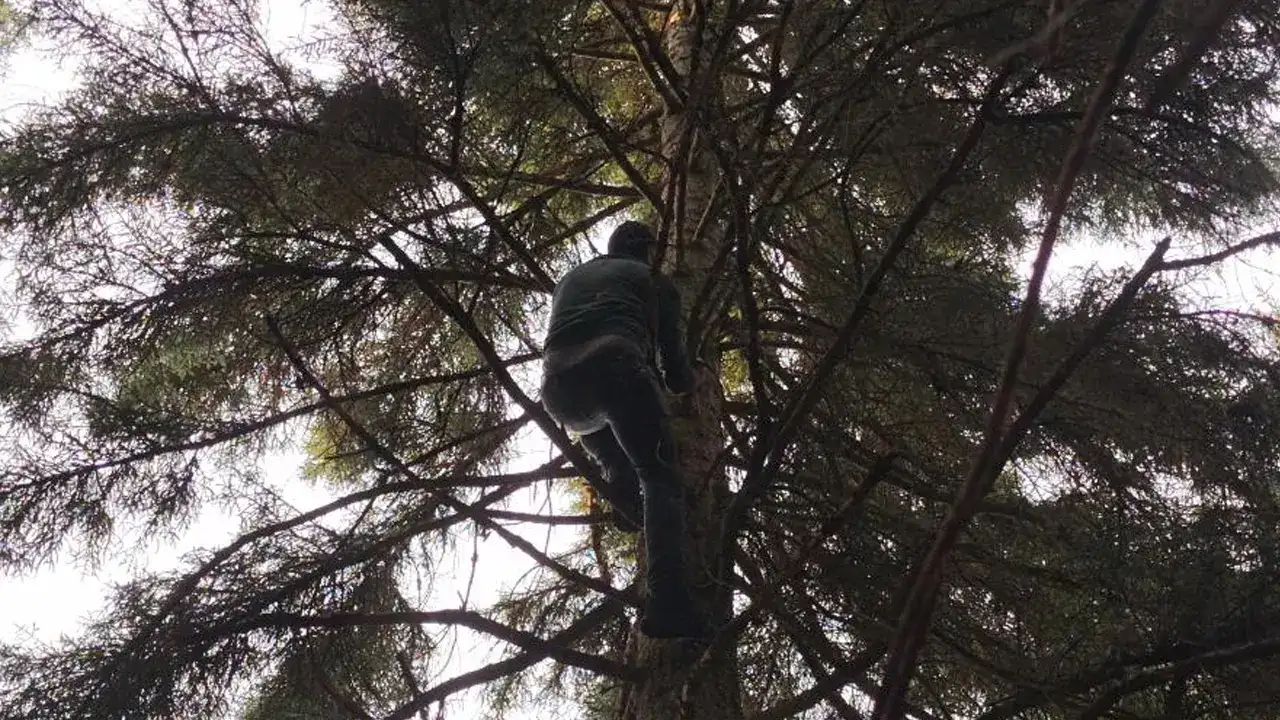 Artvin’de 40 metrelik ağaca tırmanıp dronu kurtardı