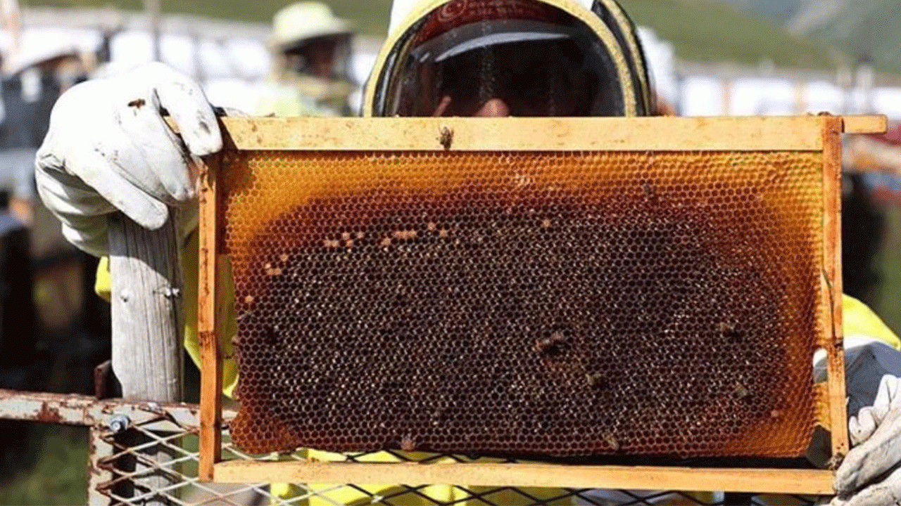 Anzer balı geç satışa çıktı, piyasada sahtesi arttı