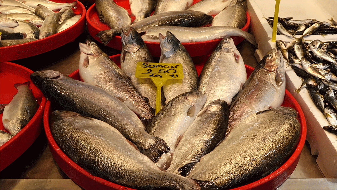 Av yasağında kültür balıklarına rağbet