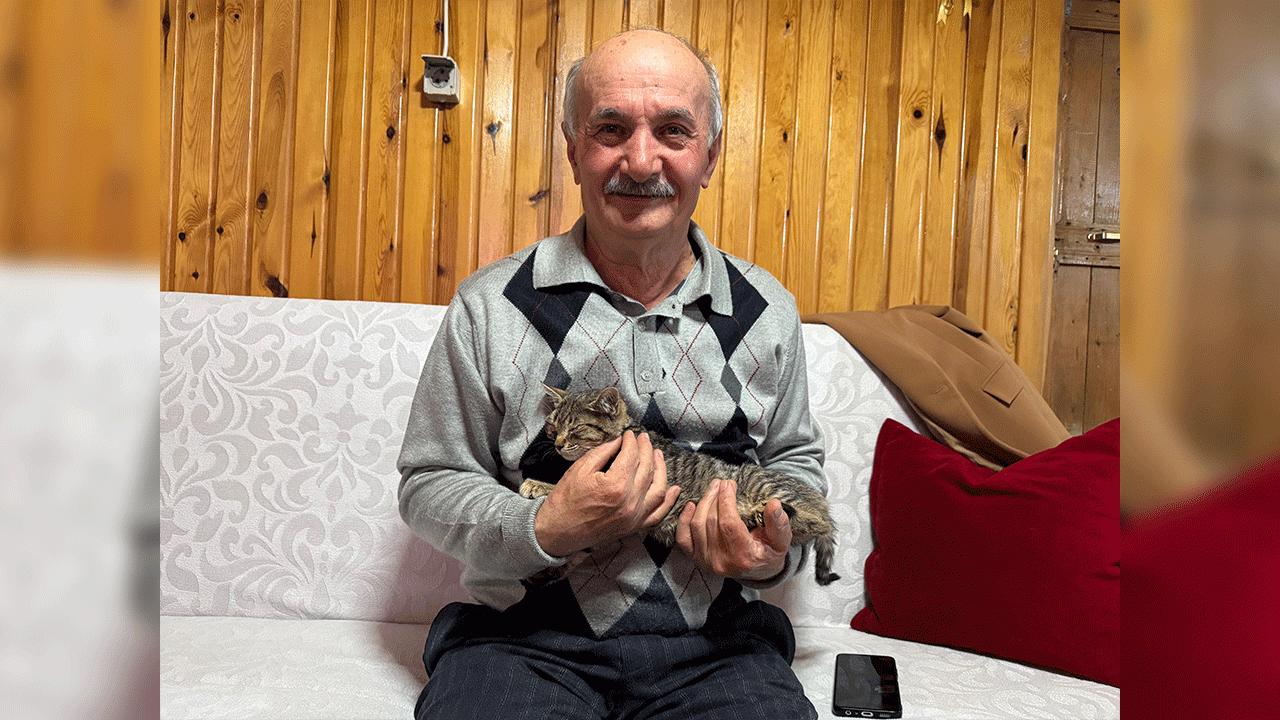 Sokak kedilerine evinin kapısını açtı, onlara yuva oldu