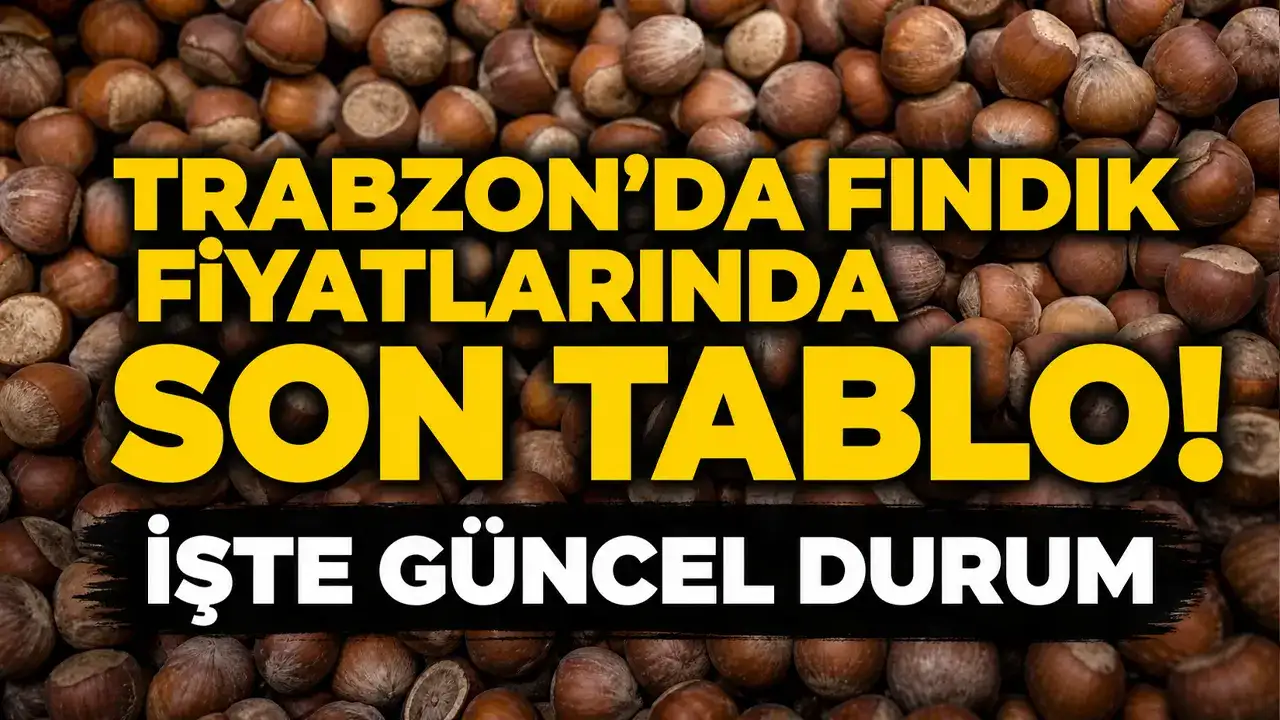 Trabzon’da fındık fiyatlarında son tablo: İşte güncel durum