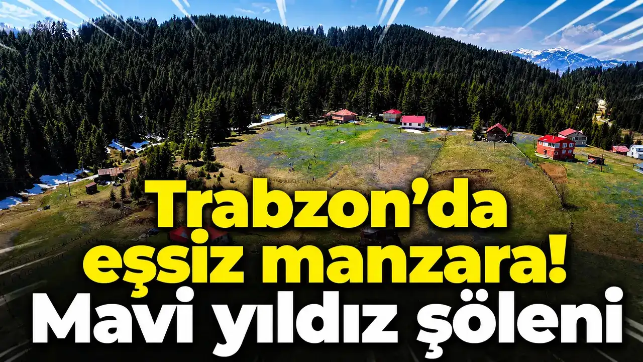 Trabzon’da eşsiz manzara! Yayla mora döndü