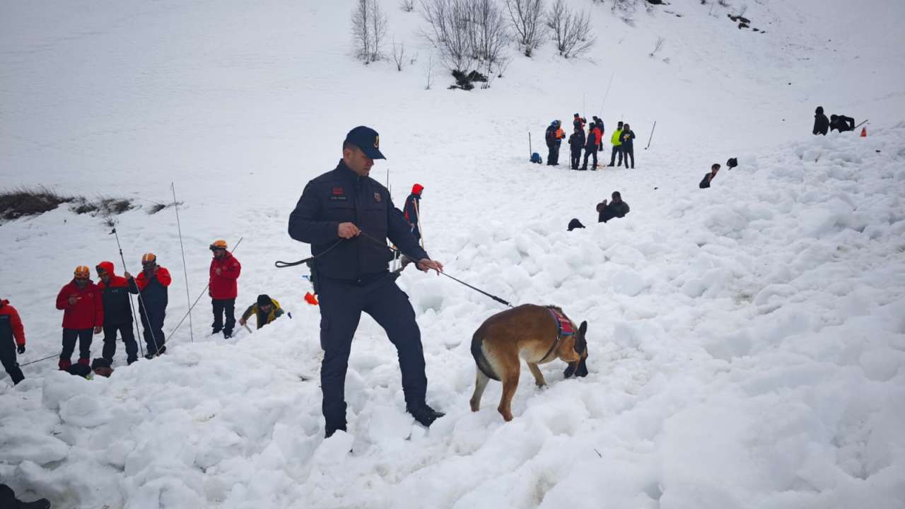 Bölgemizde çığda kaybolan çoban için arama sürüyor