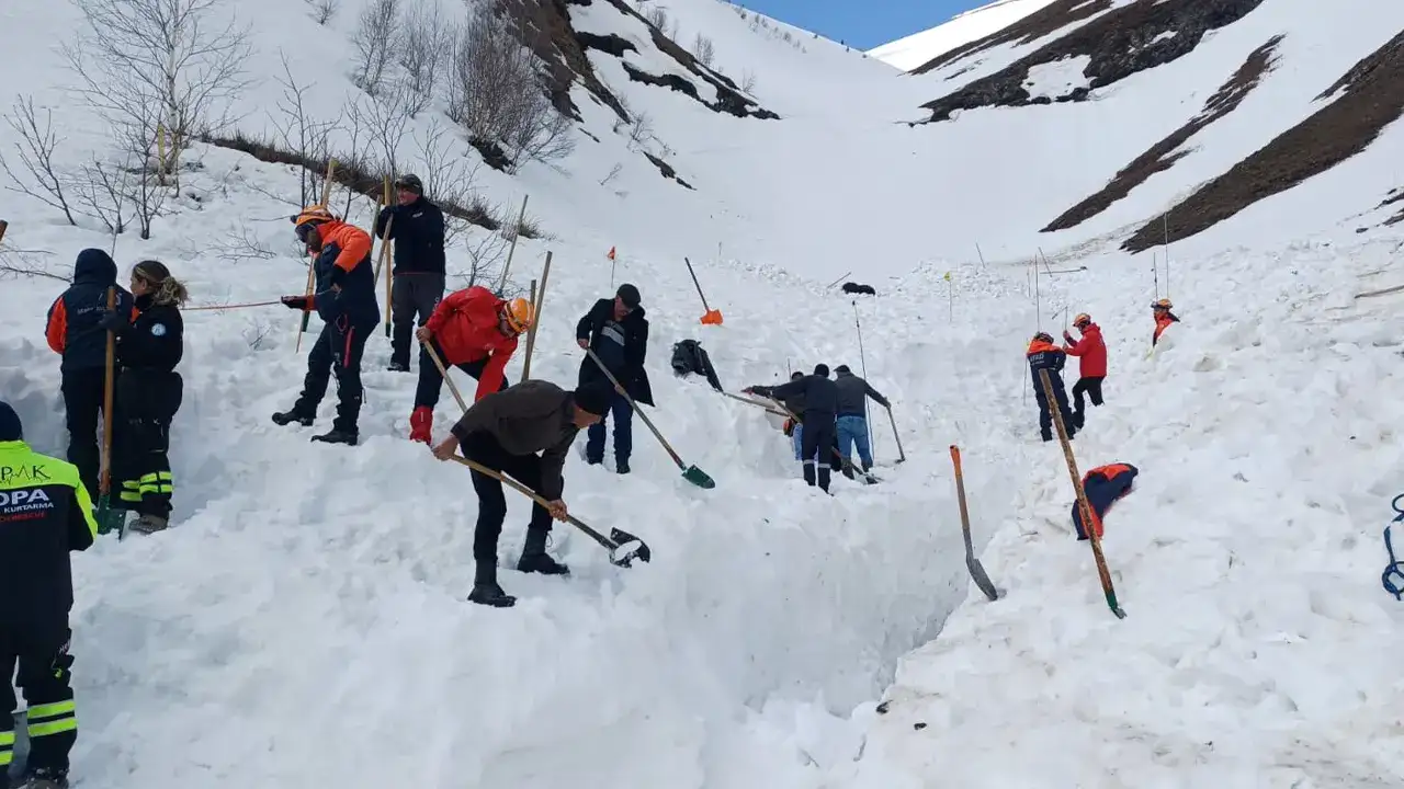 Artvin’de kayıp çoban için arama 3’üncü gününde sürüyor