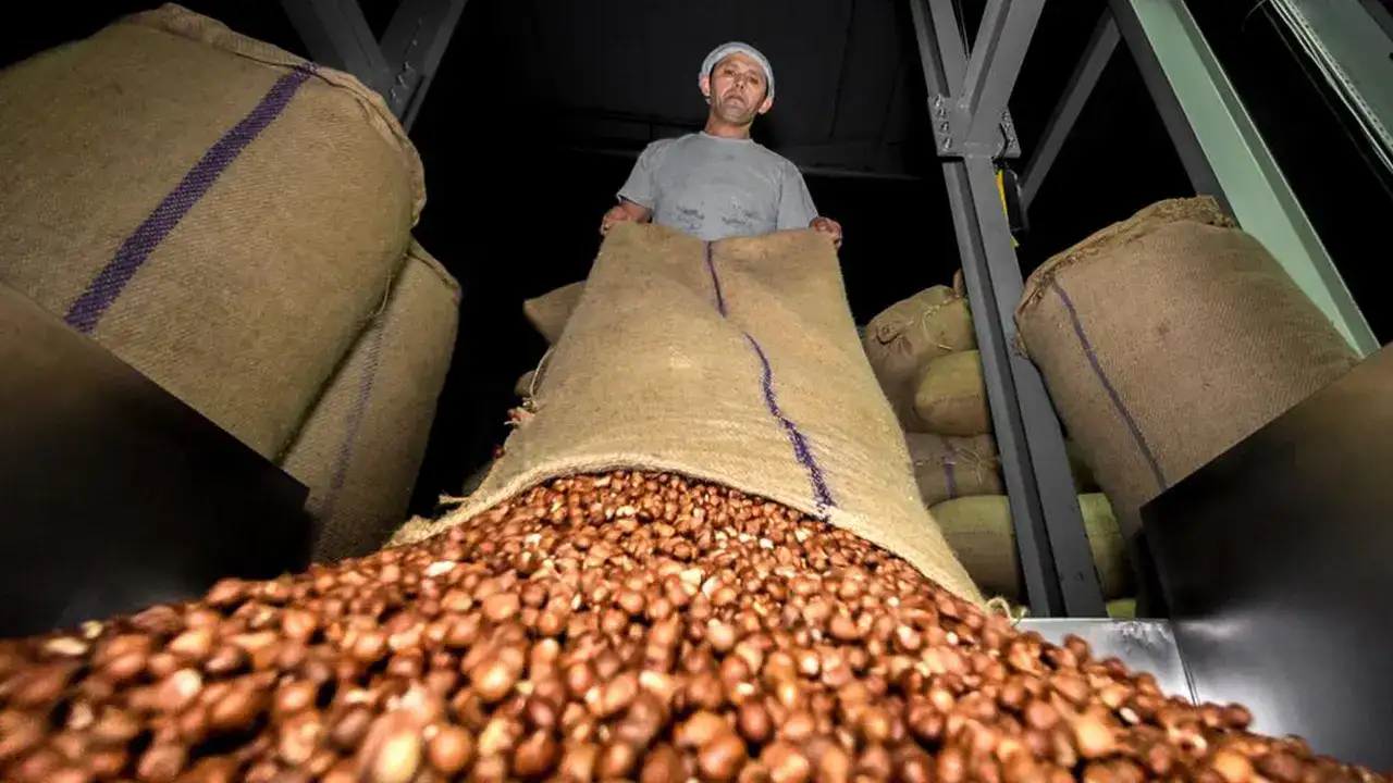 Trabzon’dan 4 ayda 501 milyon dolarlık ihracat