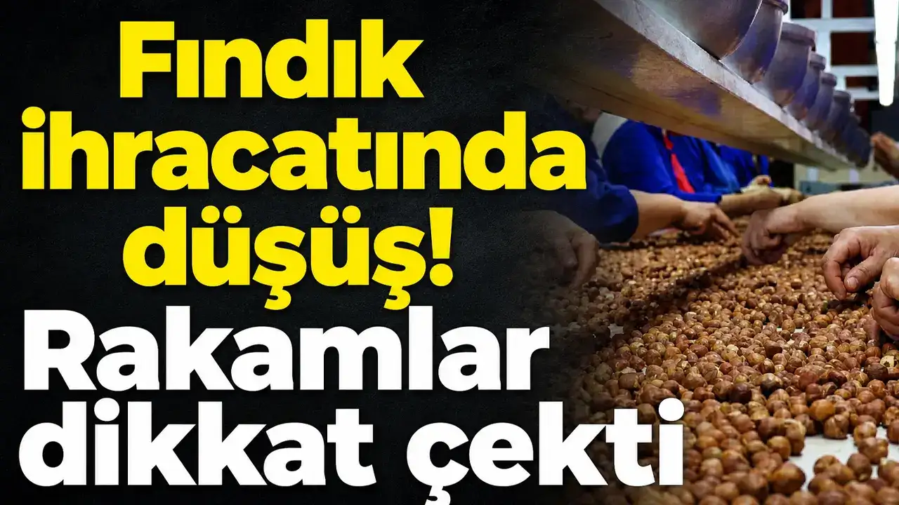 Fındık ihracatında düşüş! Rakamlar dikkat çekti