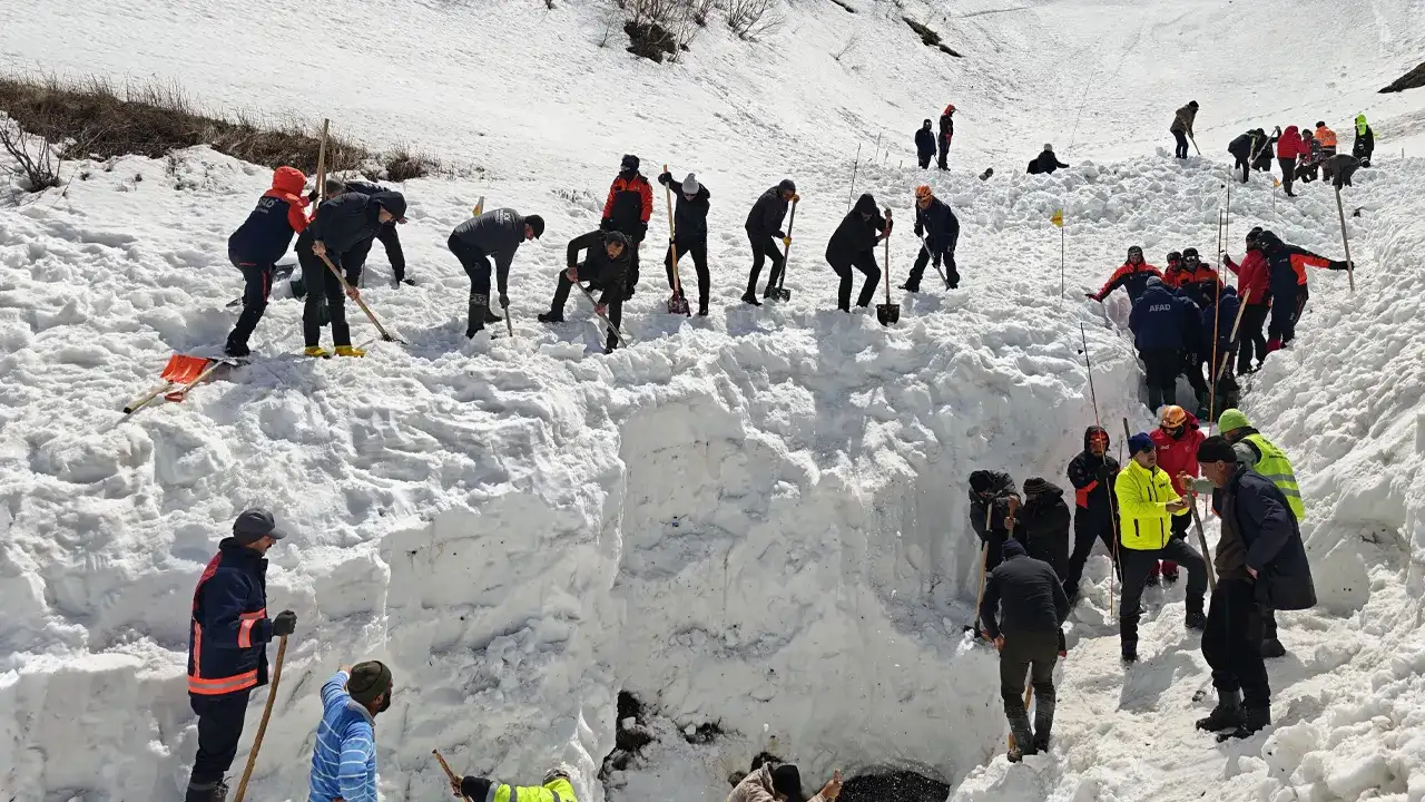 Artvin’de 3 çoban kurtuldu, 1 kişi aranıyor