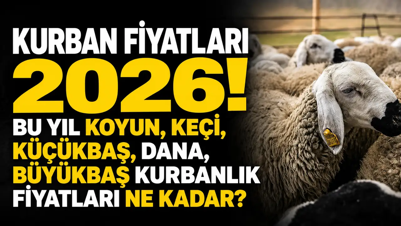 Kurban fiyatları 2026! Bu yıl koyun, keçi, küçükbaş, dana, büyükbaş kurbanlık fiyatları ne kadar, kaç TL?