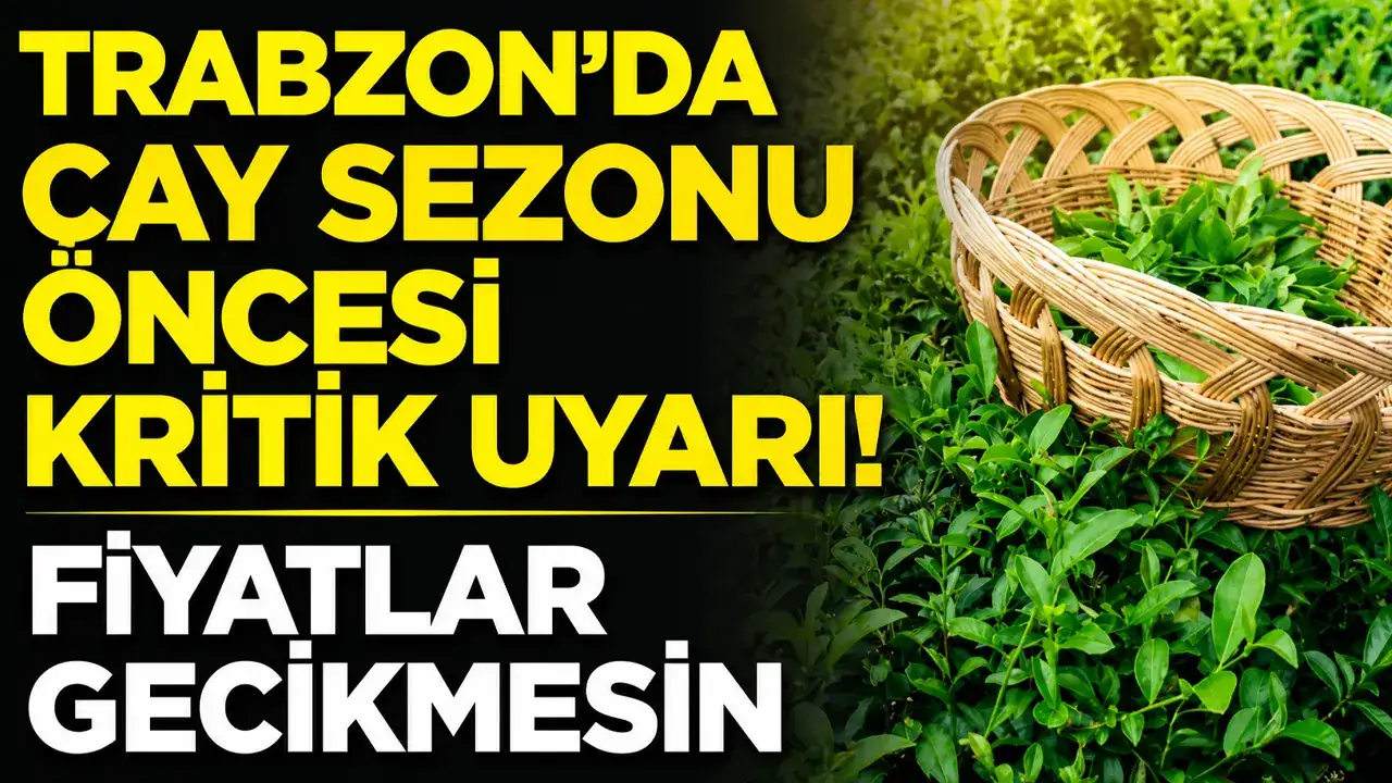 Trabzon’da çay sezonu öncesi Başkan Ergan'an kritik uyarı: Fiyatlar gecikmesin