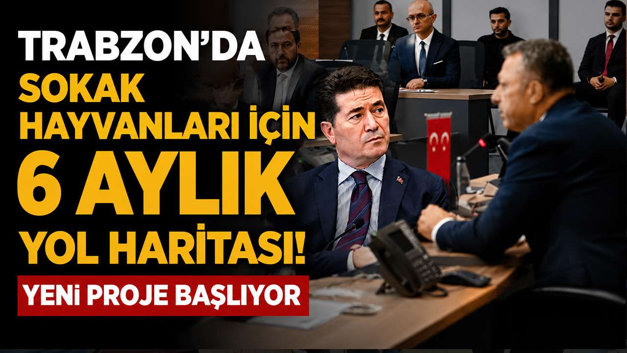 Trabzon’da sokak hayvanları için 6 aylık yol haritası! Yeni proje başlıyor