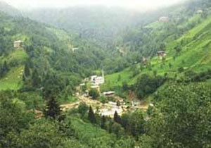 Rize'de vadi için karar değişiyor