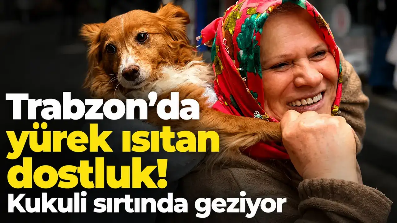 Trabzon’da yürek ısıtan dostluk! Kukuli sırtında geziyor