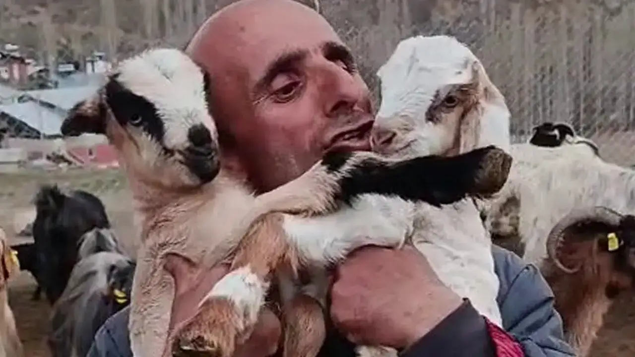 Çobanın oğlak sevgisi yürekleri ısıttı