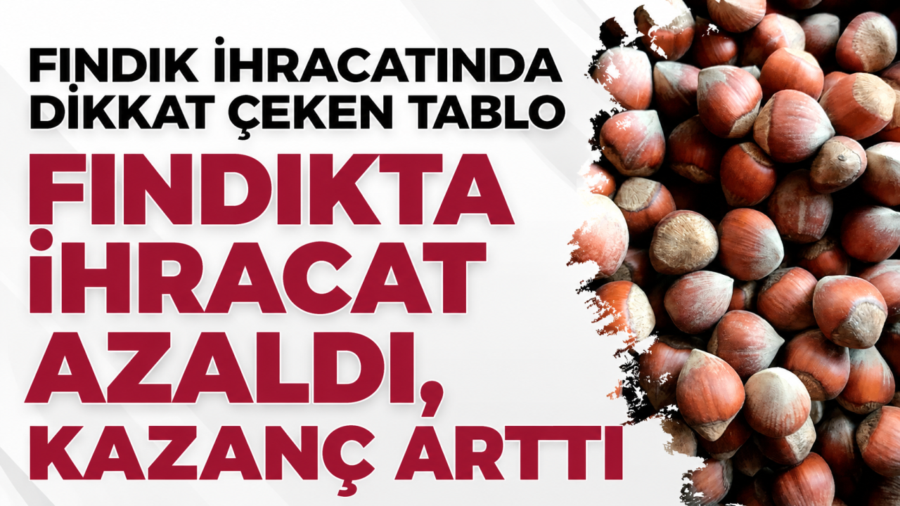Fındık ihracatında dikkat çeken tablo: Fındıkta ihracat azaldı, kazanç arttı
