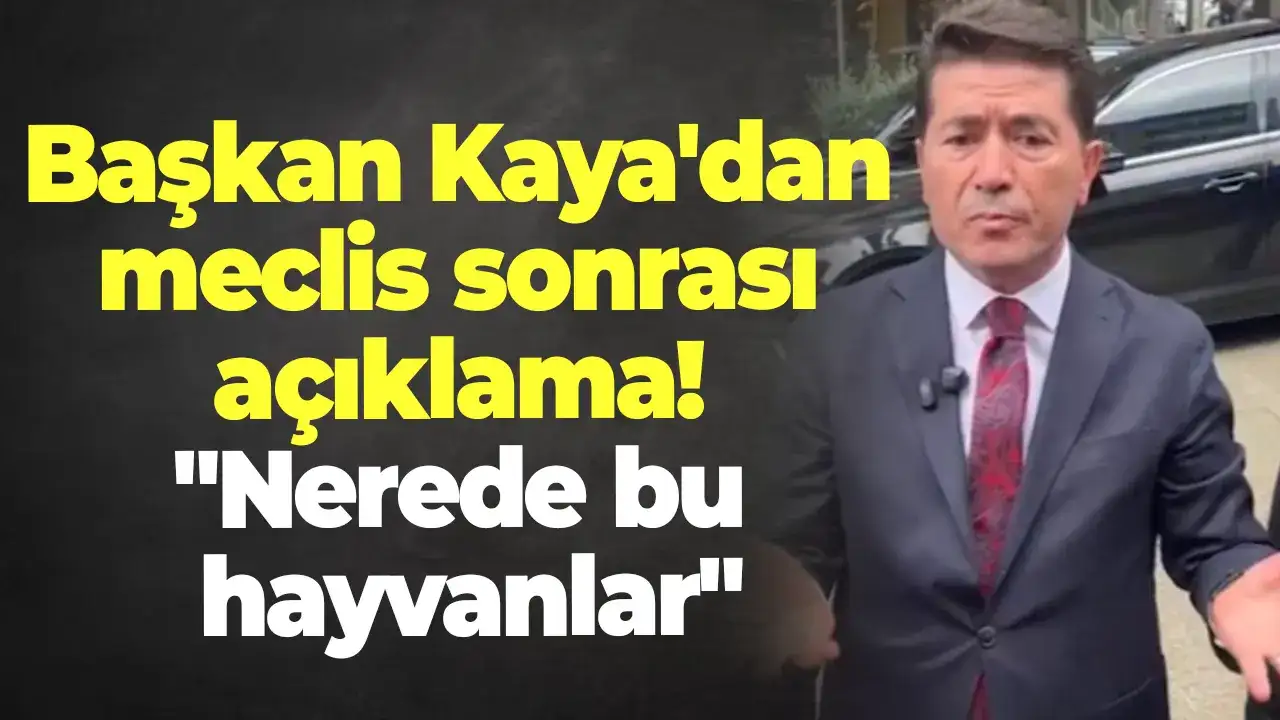 Başkan Kaya'dan meclis sonrası açıklama! "Nerede bu hayvanlar"