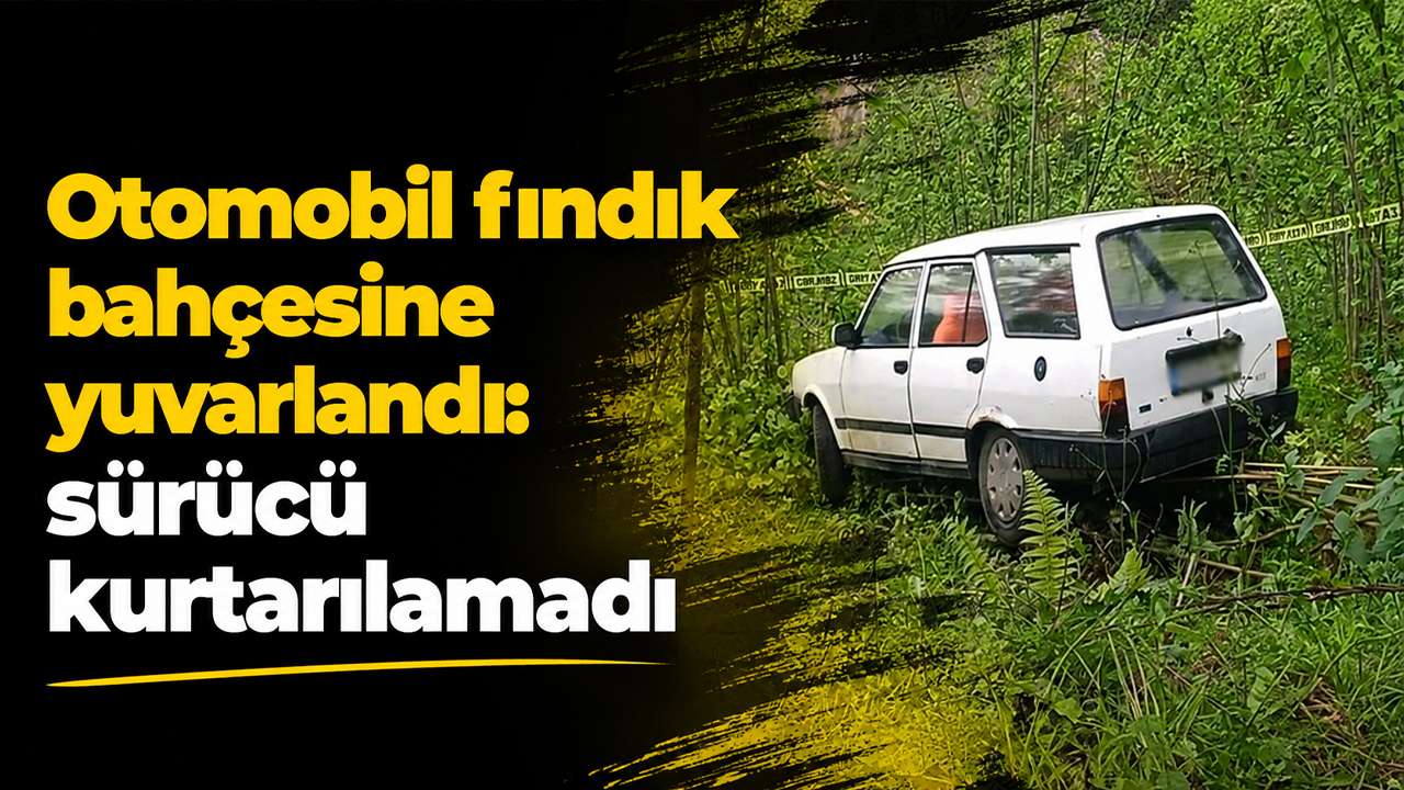 Otomobil fındık bahçesine yuvarlandı: sürücü kurtarılamadı