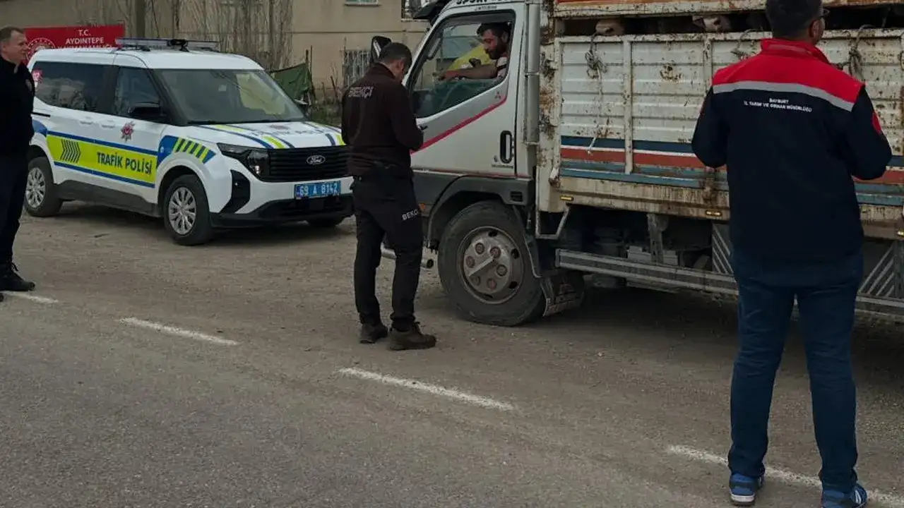 Aydıntepe’de Kurban Bayramı öncesi hayvan nakil denetimi