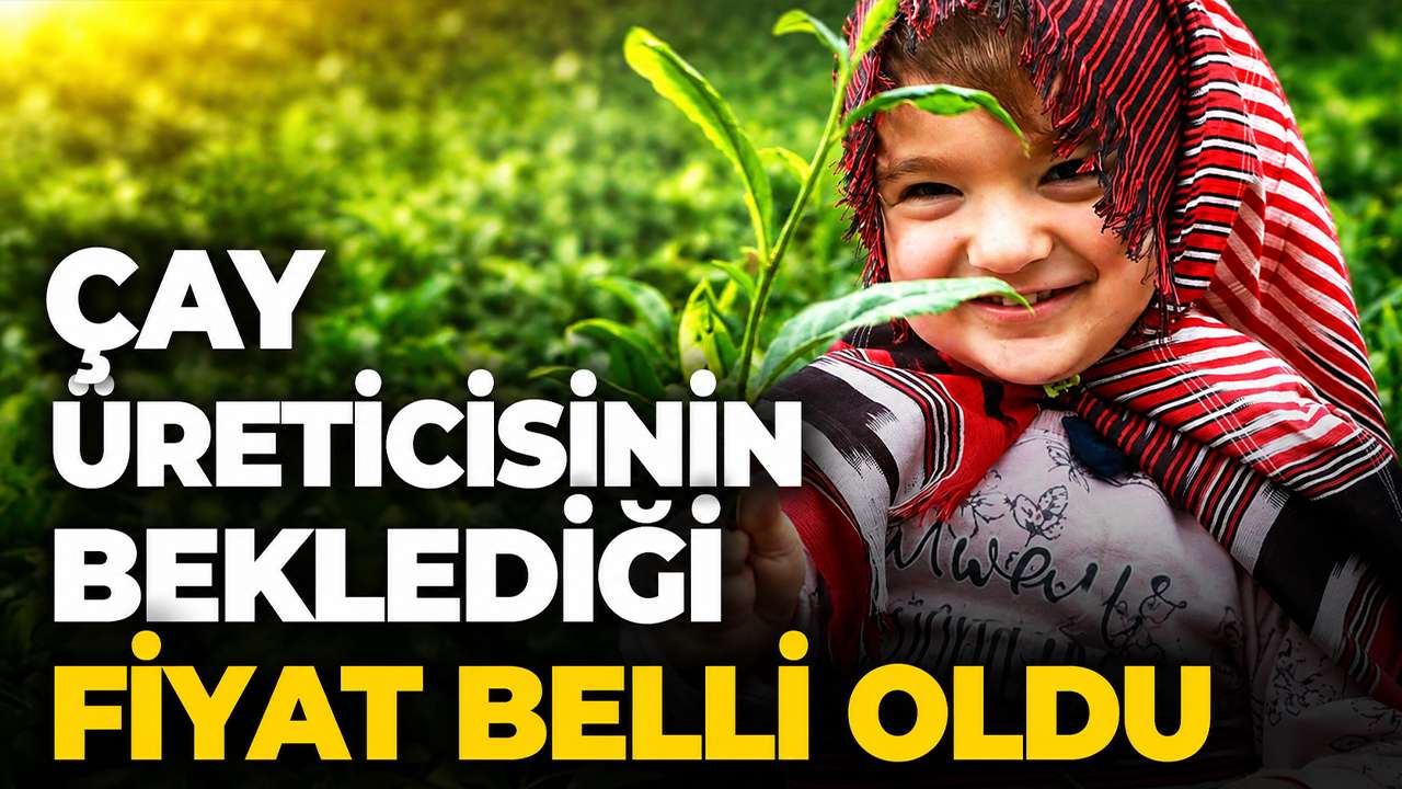Çay üreticisinin beklediği fiyat belli oldu