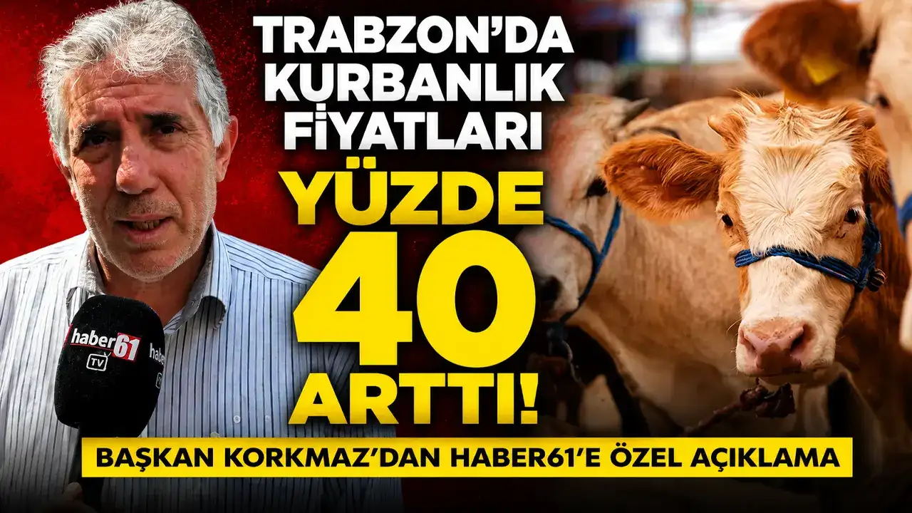 Trabzon’da kurbanlık fiyatları yüzde 40 arttı! Başkan Korkmaz'dan Haber61'e özel açıklama