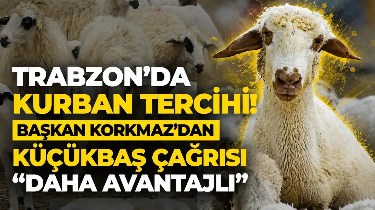 Trabzon’da kurban tercihi! Başkan Korkmaz’dan küçükbaş çağrısı