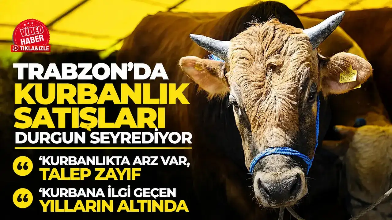 Trabzon’da kurban alışverişi yavaş başladı! Eski ilgi yok