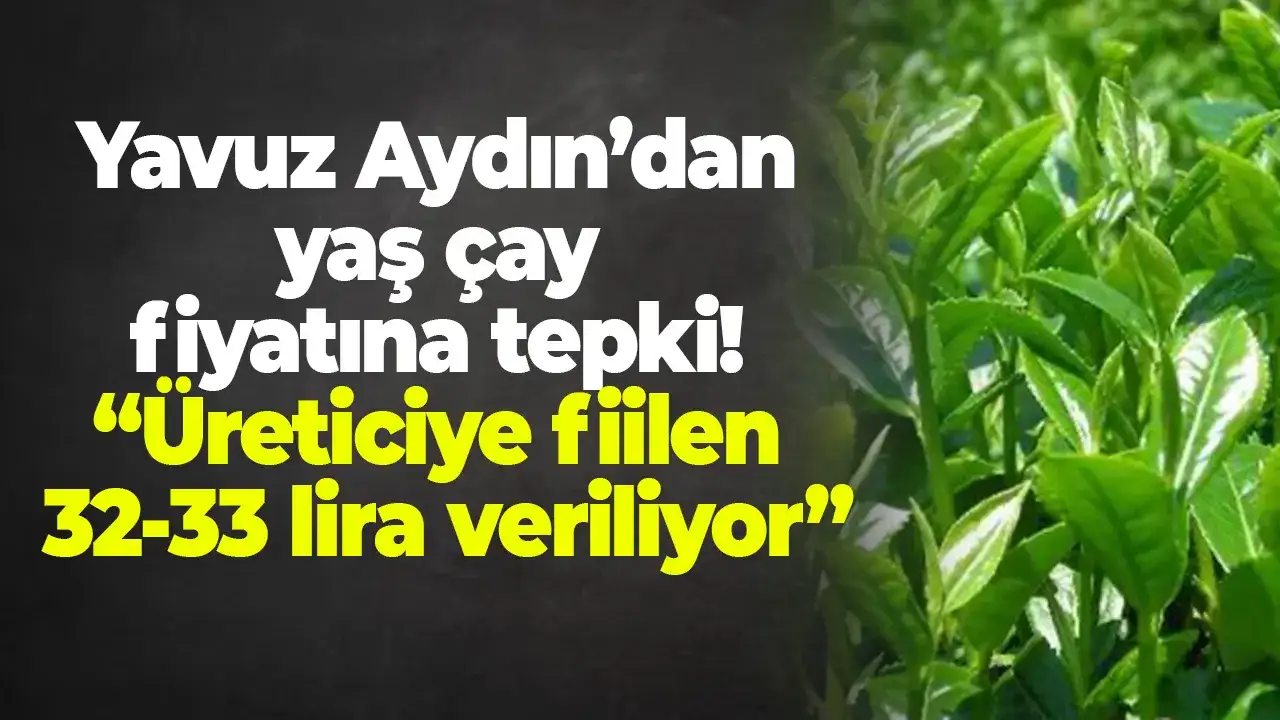 Yavuz Aydın’dan yaş çay fiyatına tepki: “Üreticiye fiilen 32-33 lira veriliyor”