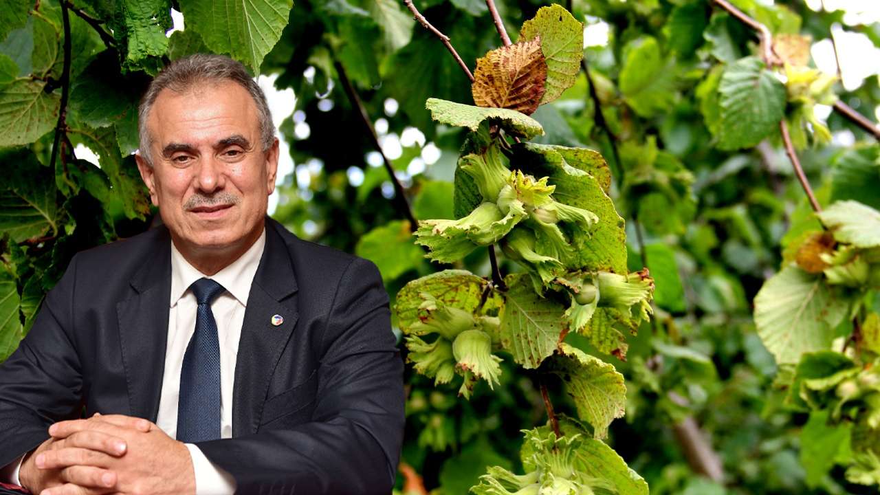 Trabzon Ticaret Borsası Başkanı Ergan'dan fındıkta verimlilik ve rekabet uyarısı