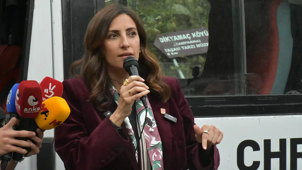 CHP heyetinden Artvin’de HES ve maden tepkisi