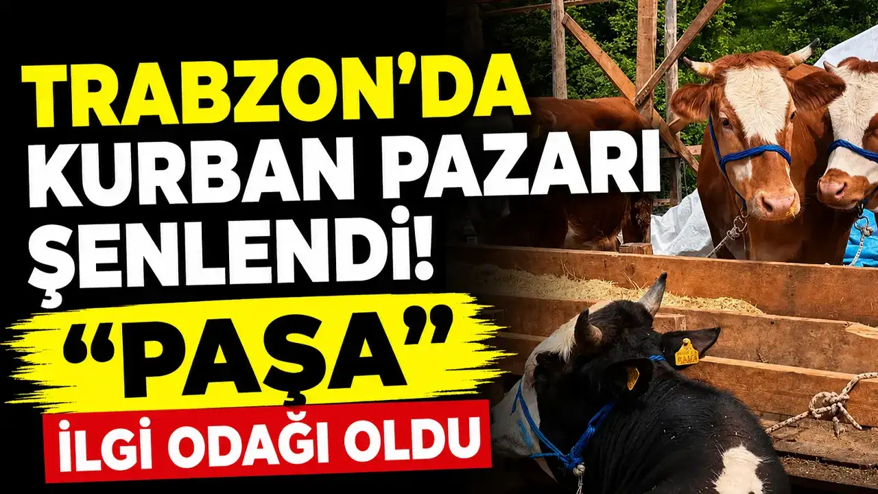 Trabzon’da kurban pazarı şenlendi! “Paşa” ilgi odağı oldu